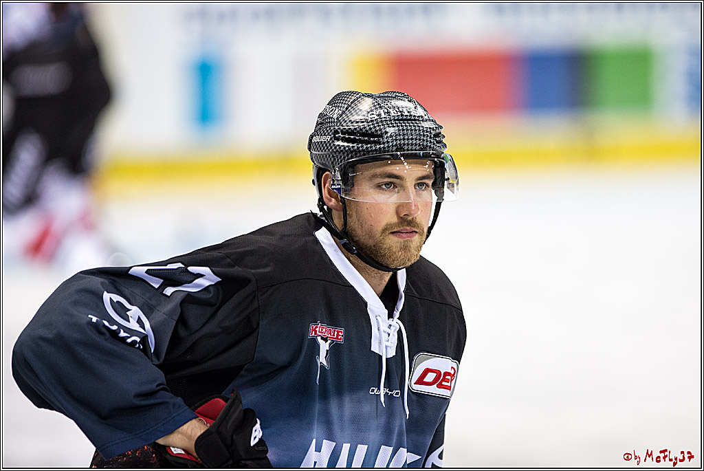 DEL, Koelner Haie - Duesseldorfer EGY, 22.01.2017